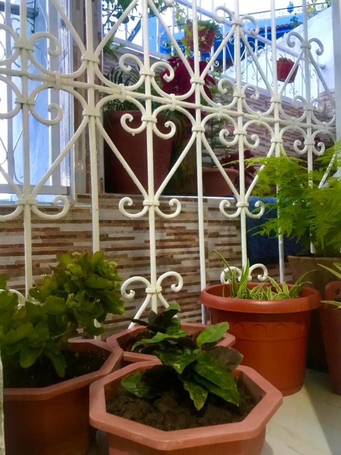 Dar Sidi Mfedal Apartment Chefchaouen Ngoại thất bức ảnh